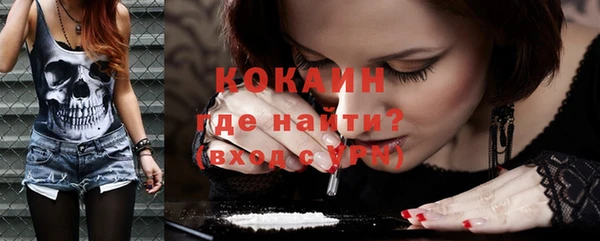 мдпв Вяземский