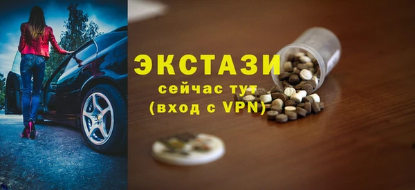 мдпв Вяземский