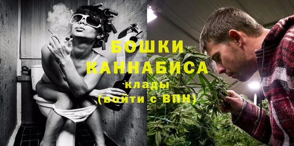 мдпв Вяземский