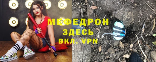 мдпв Вяземский