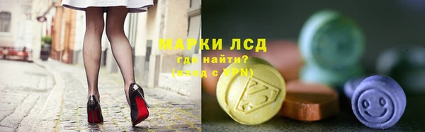 мдпв Вяземский