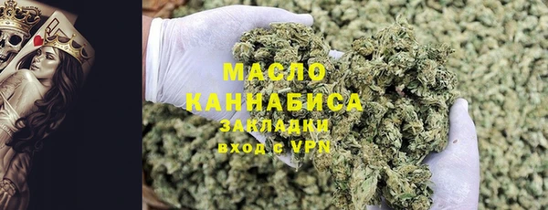 мдпв Вяземский