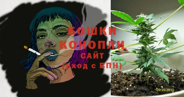 мдпв Вяземский