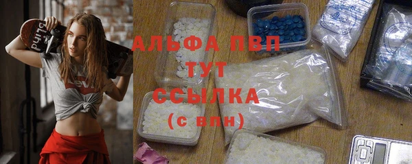 мдпв Вяземский