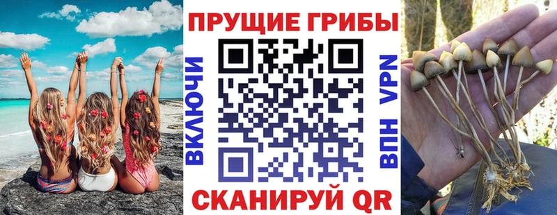 Галлюциногенные грибы MAGIC MUSHROOMS  Купить где  Мончегорск 